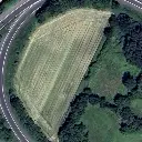 erpe mere 3000m.webp