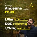 13 - Andenne - in cijfers 1.webp