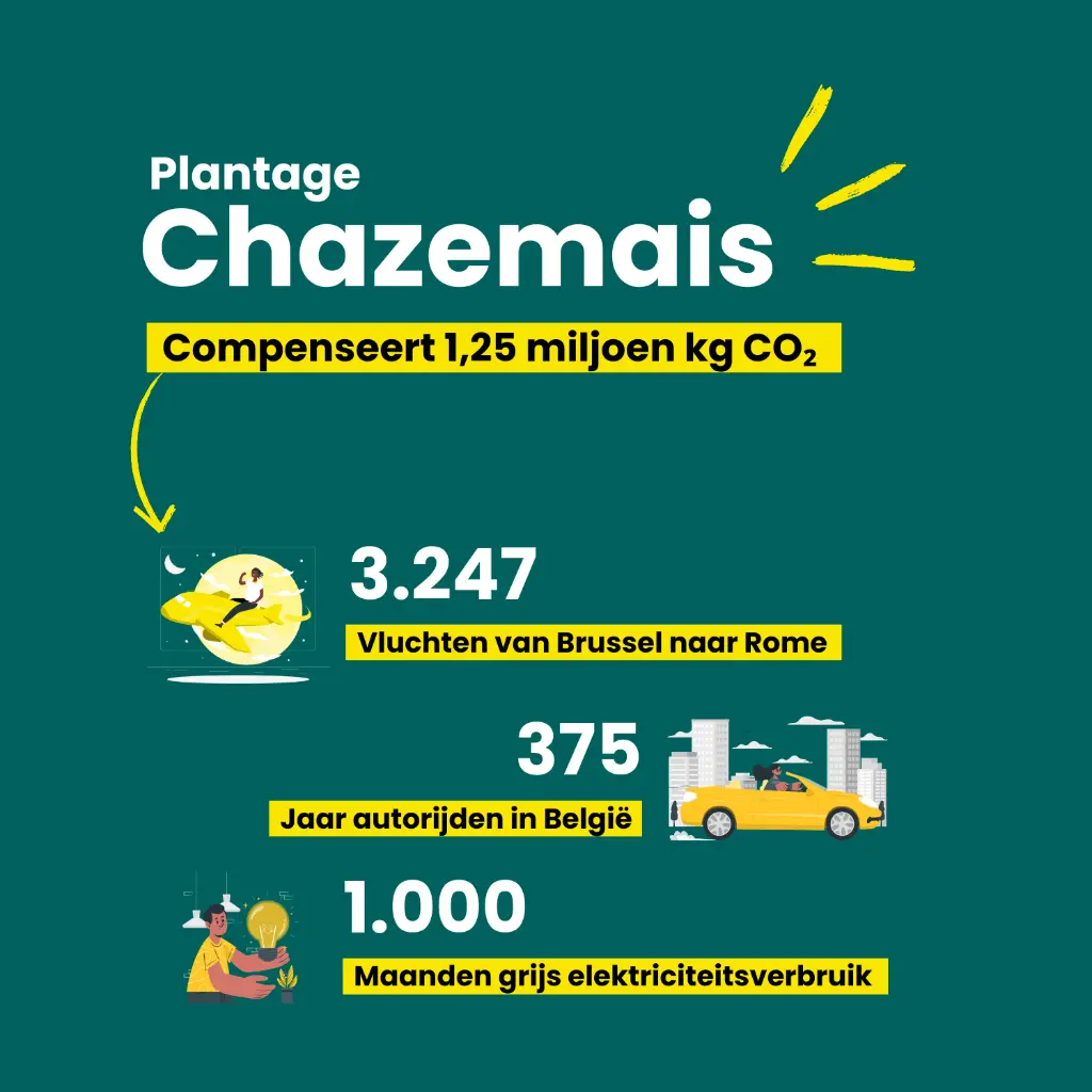 Chazemais 181 cijfers 2.webp