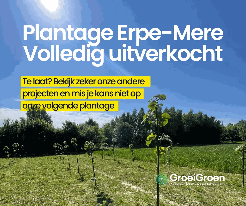 SOCIALS - Facebook posts (3).webp