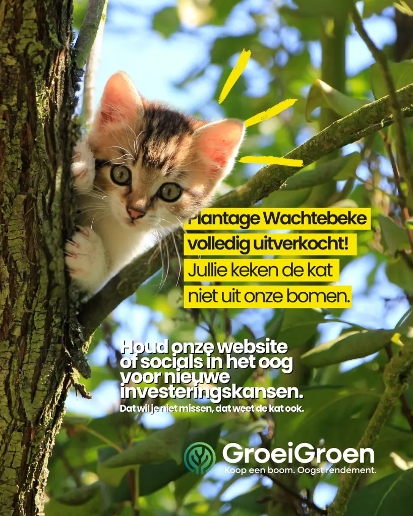 Wachtebeke uitverkocht (1).webp