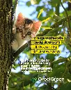 Wachtebeke uitverkocht (1).webp