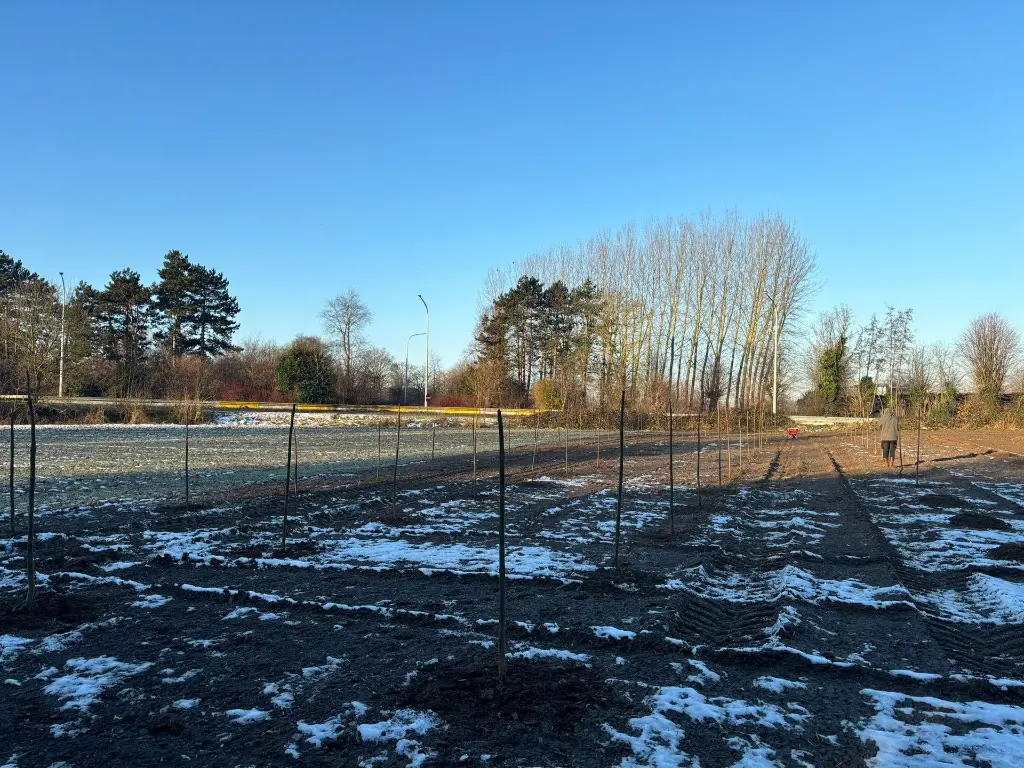 PHOTO-2025-01-13-13-01-29 (1).webp