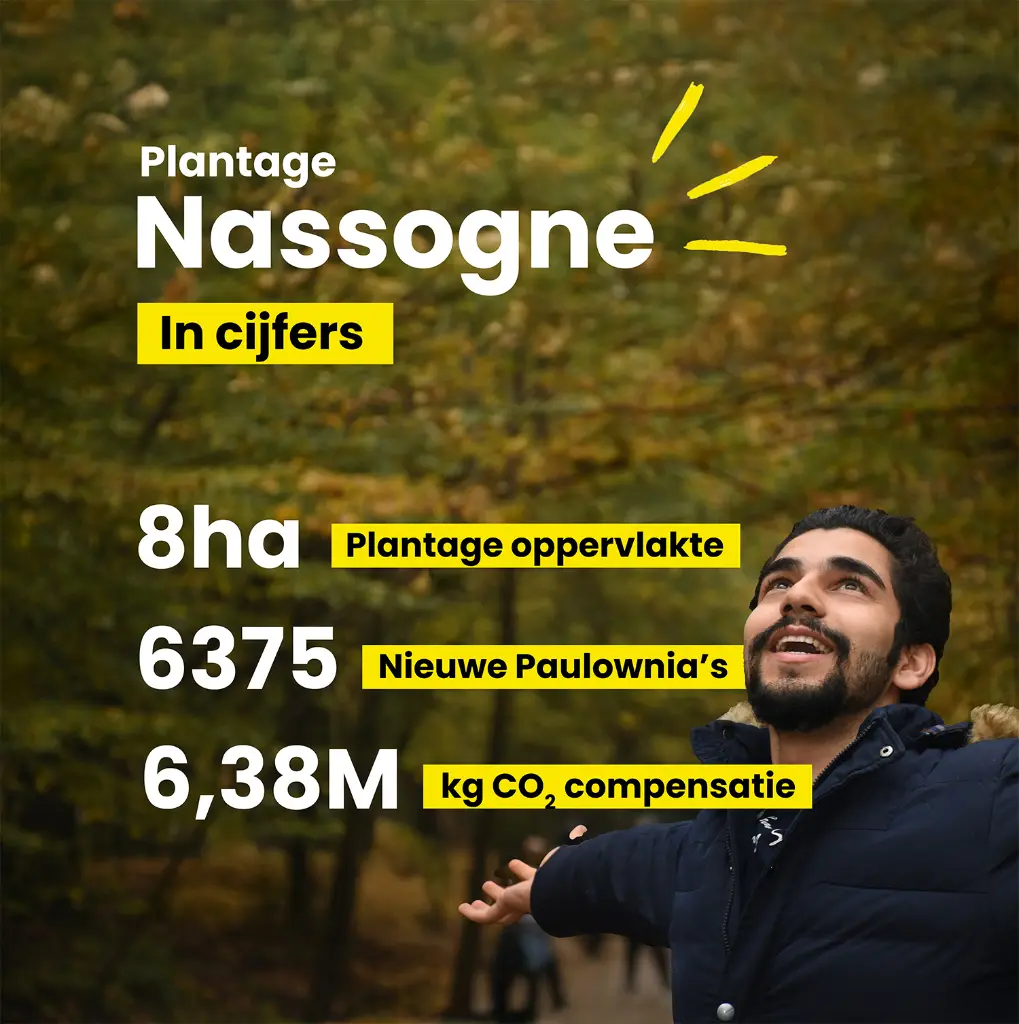 Nassogne 1 in cijfers.webp