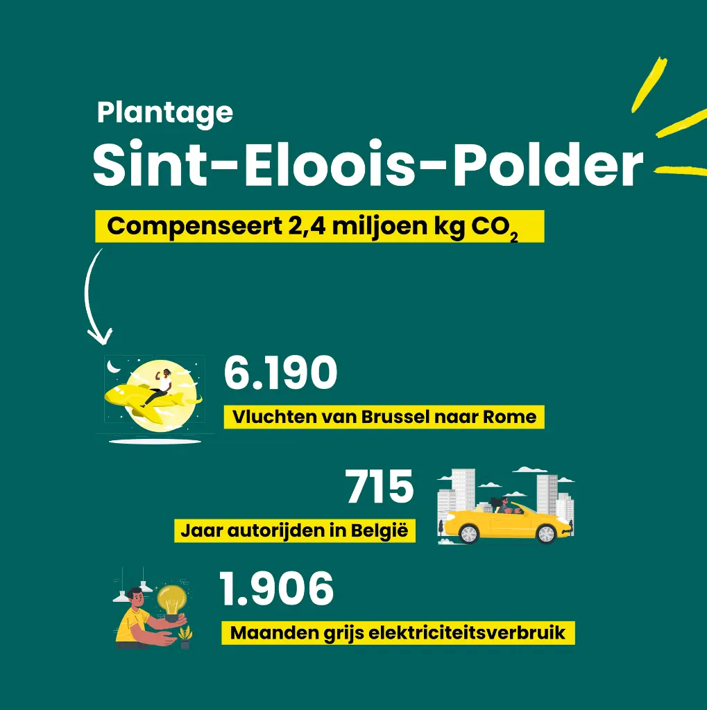 SEP uitverkocht 3 final.webp