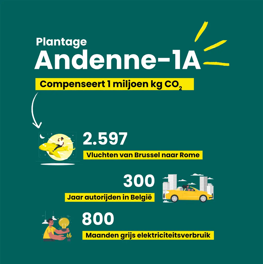 Andenne 1A in cijfers 2.webp