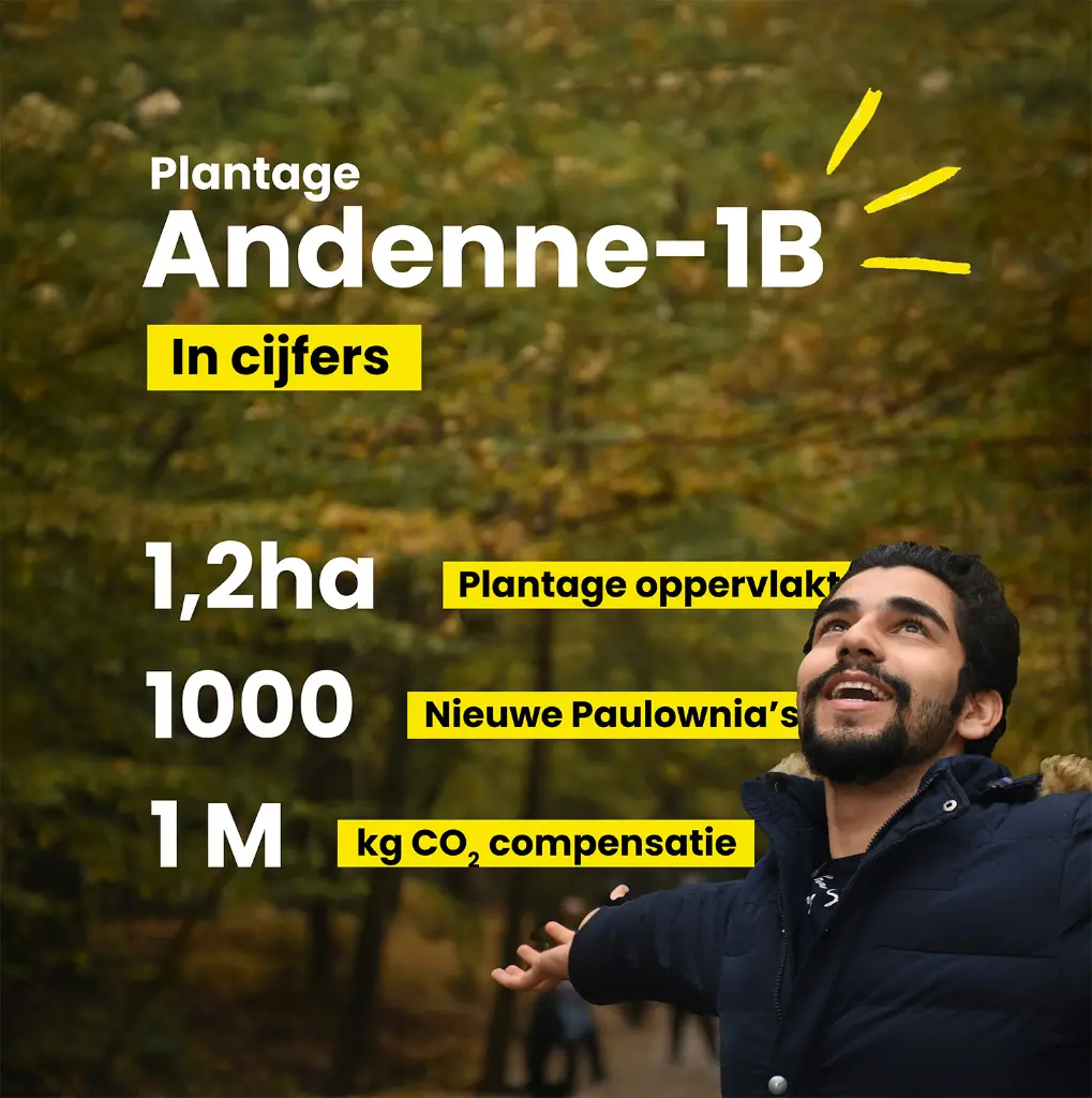 Andenne 1B in cijfers.webp