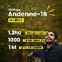 Andenne 1B in cijfers.webp
