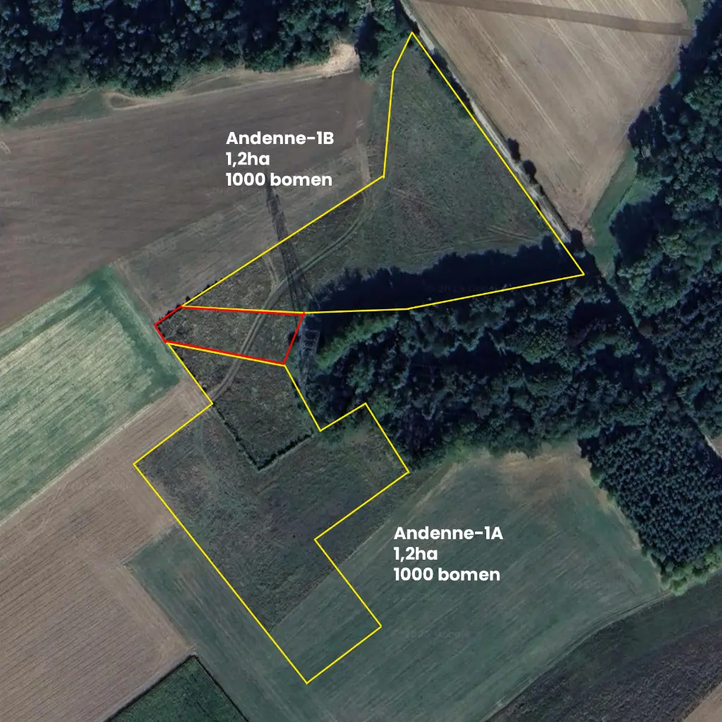 Andenne-1AB full tekst.webp