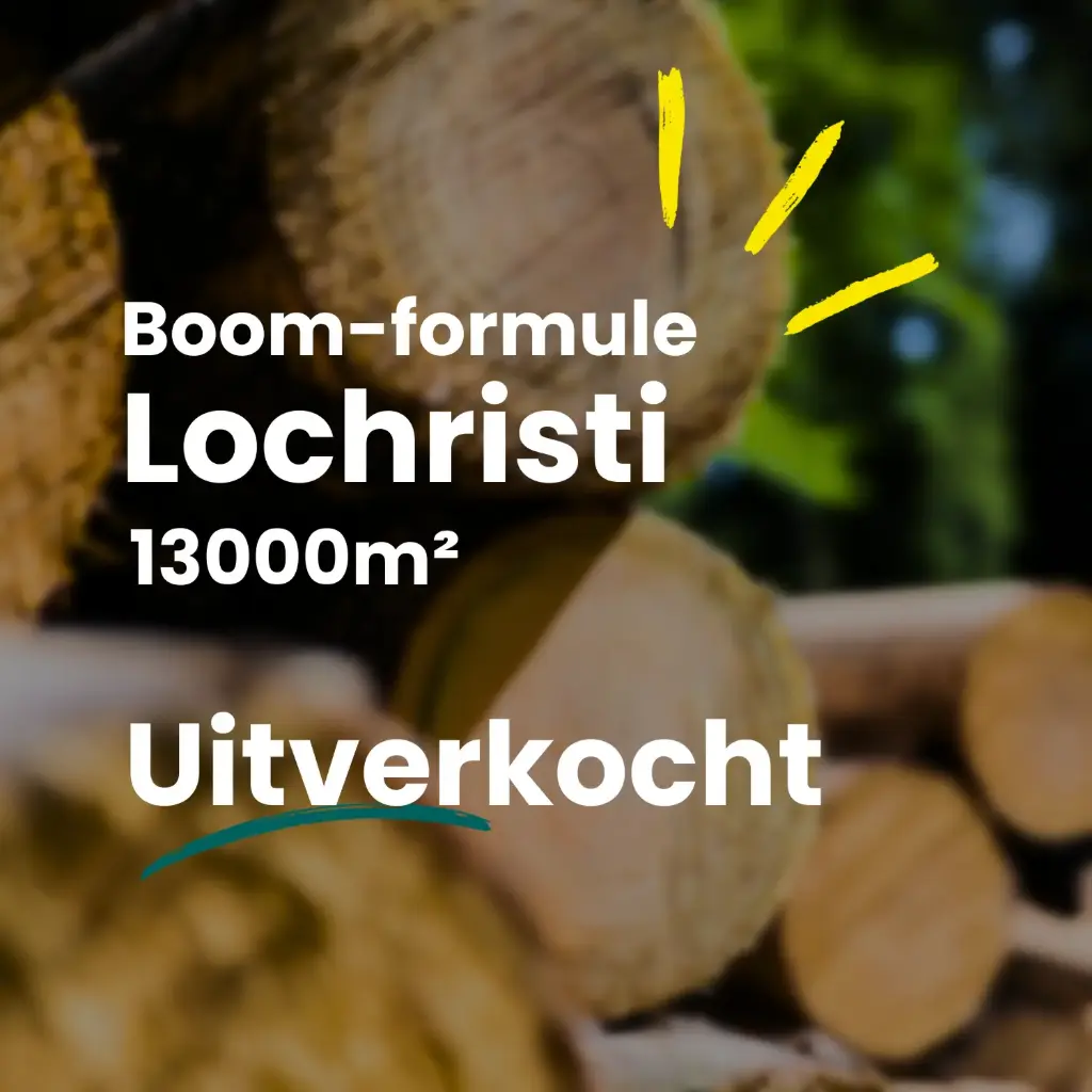 Lochristi 13000m²