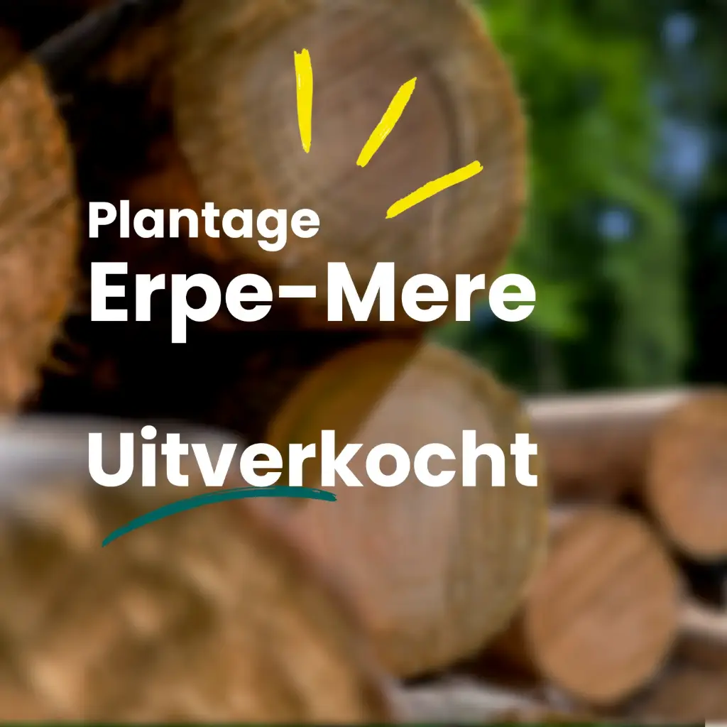 Erpe-Mere