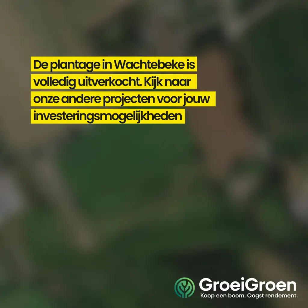 Wachtebeke