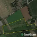 Wachtebeke