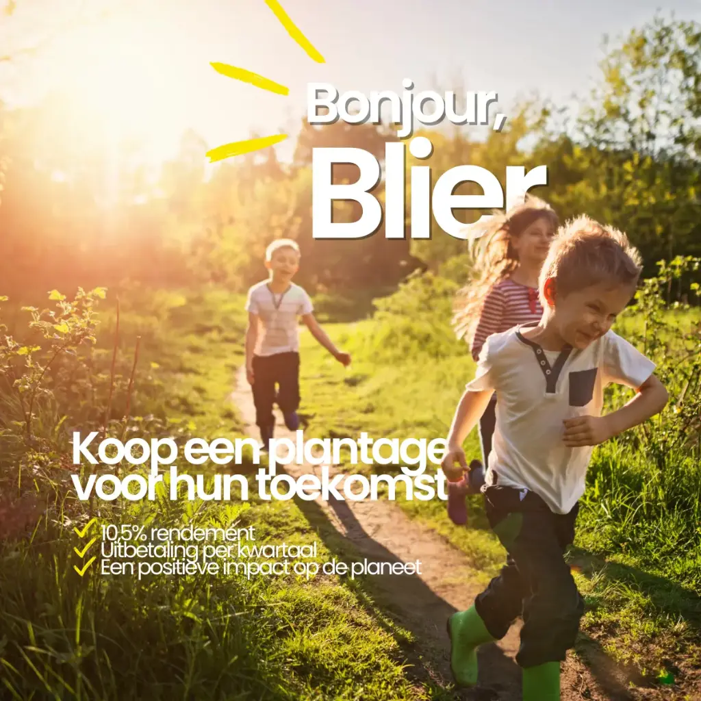 Blier