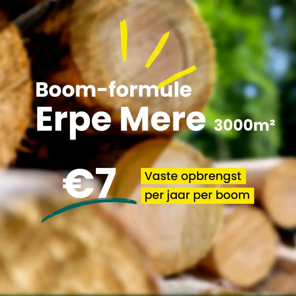 Erpe Mere 3000m²