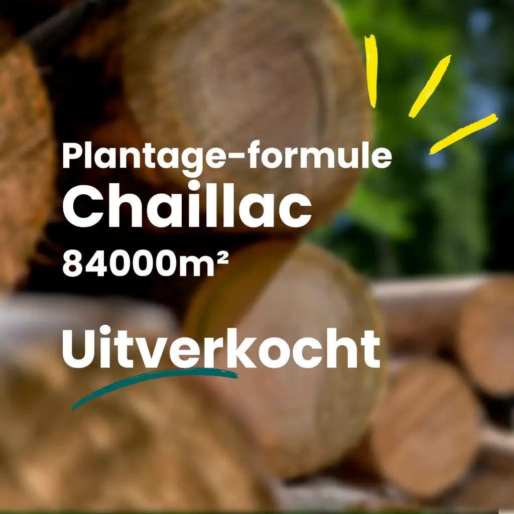 Chaillac 84000m²