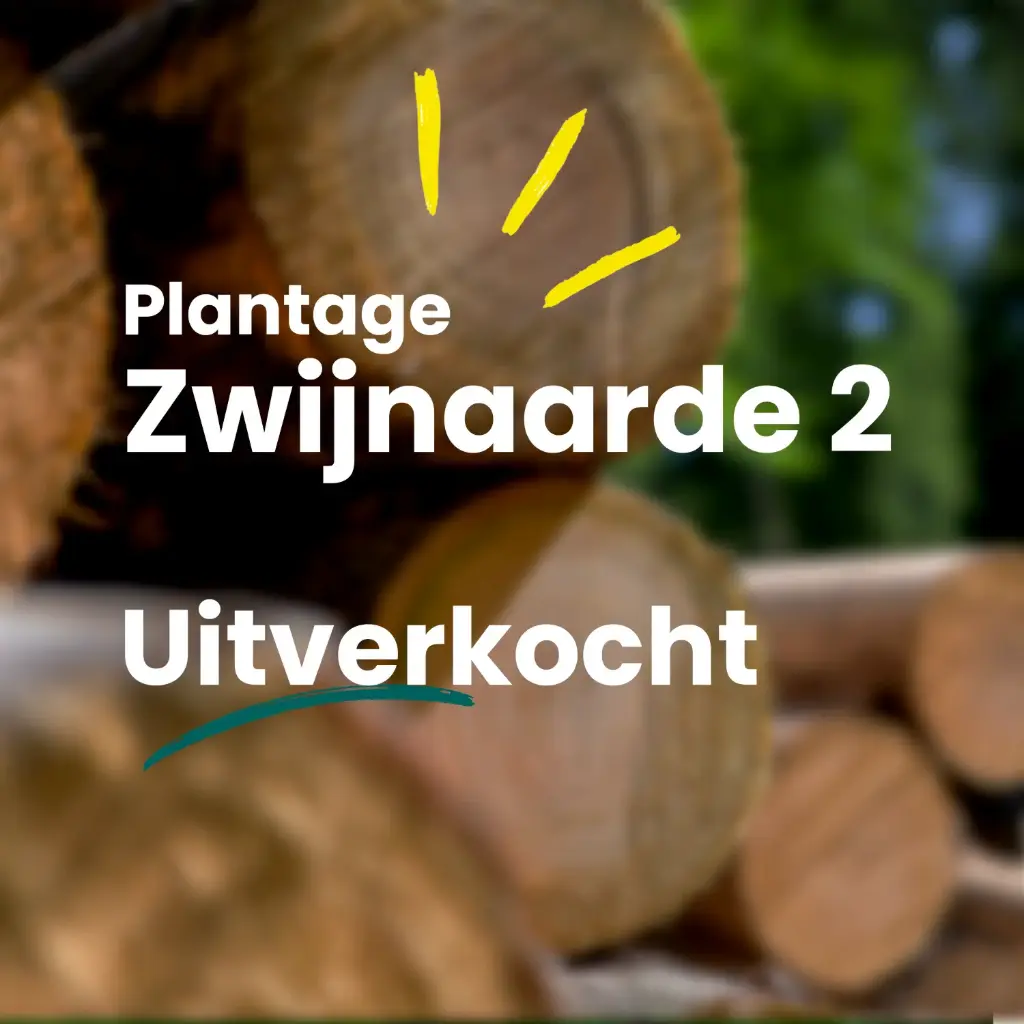 Zwijnaarde Fase II