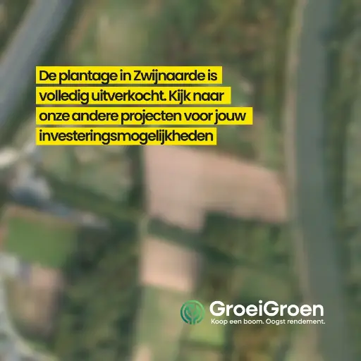 Zwijnaarde Fase I