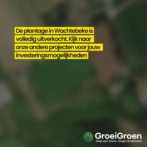 Wachtebeke