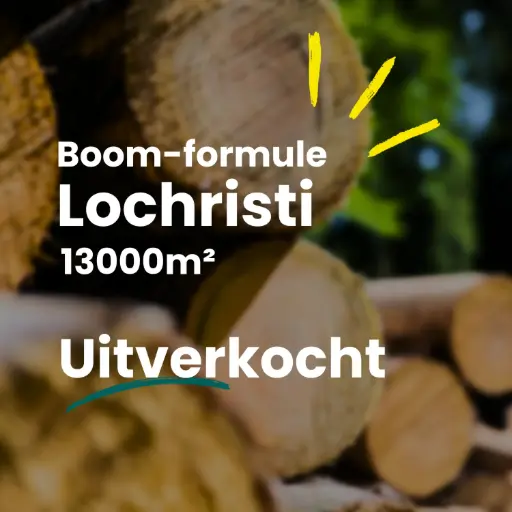 Lochristi 13000m²